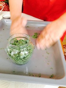 Oregano 13