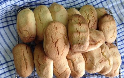 Gluten Free Biscotti (great for dunking)